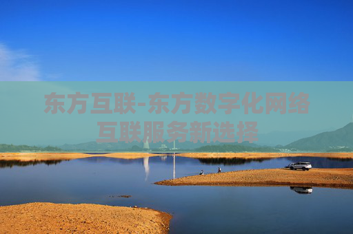 东方互联-东方数字化网络互联服务新选择