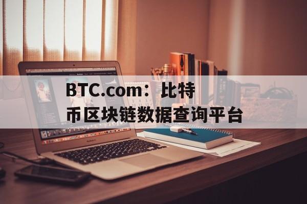 BTC.com：比特币区块链数据查询平台