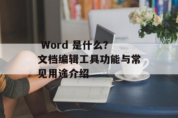  Word 是什么？文档编辑工具功能与常见用途介绍