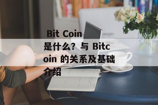  Bit Coin 是什么？与 Bitcoin 的关系及基础介绍